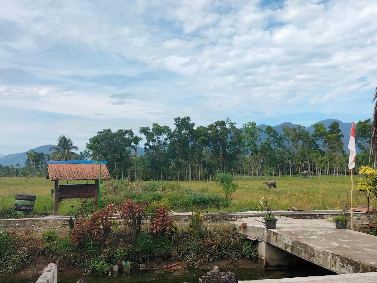 Sumatra Expedition Lodge Bukit Lawang Exterior photo