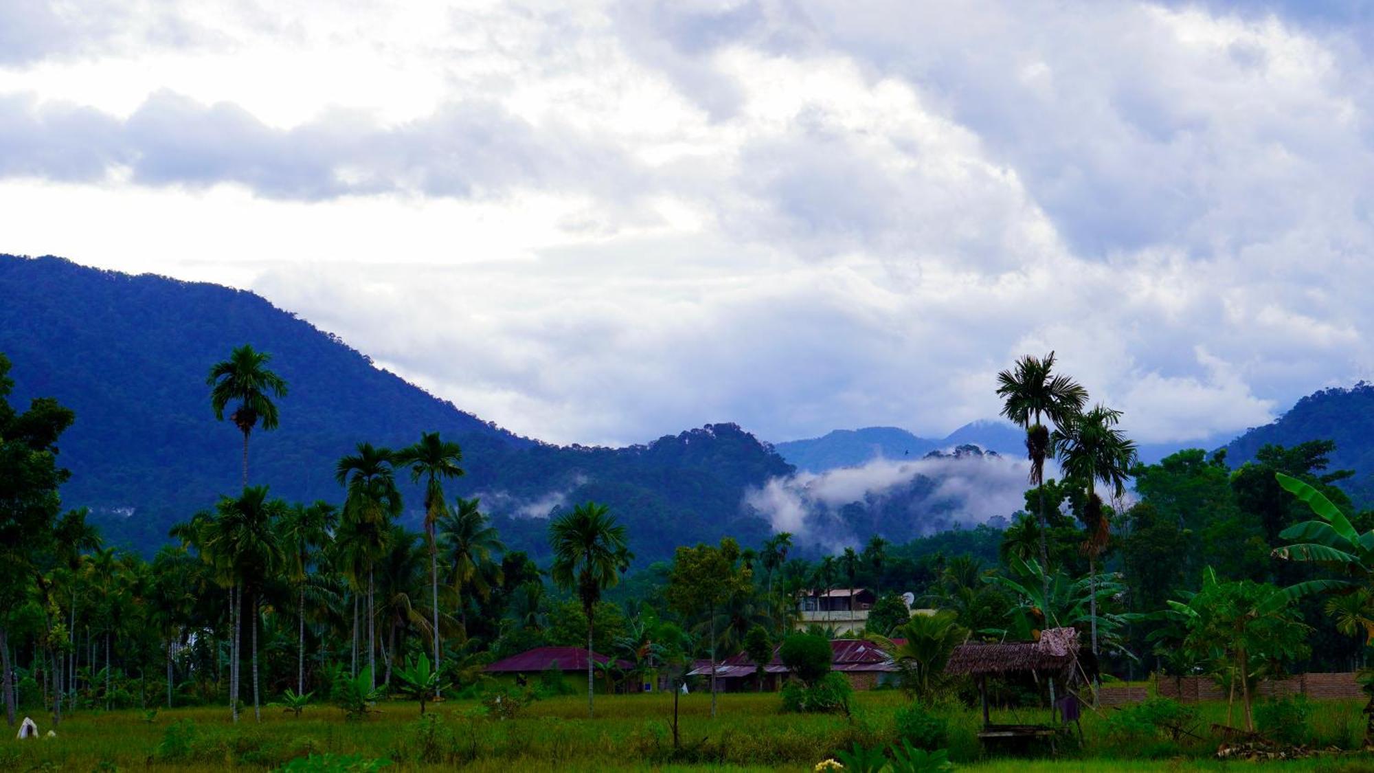 Sumatra Expedition Lodge Bukit Lawang Exterior photo