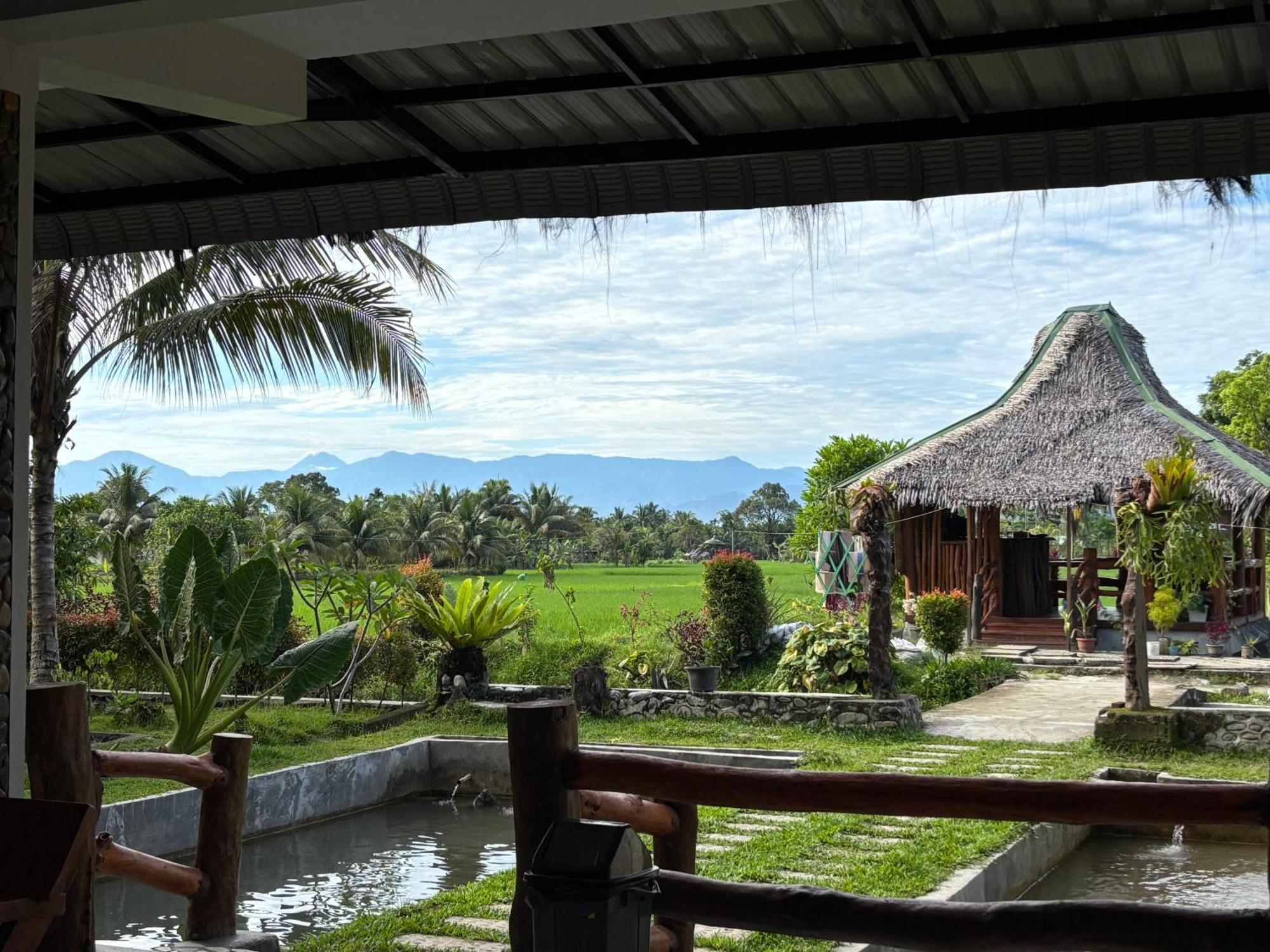 Sumatra Expedition Lodge Bukit Lawang Exterior photo