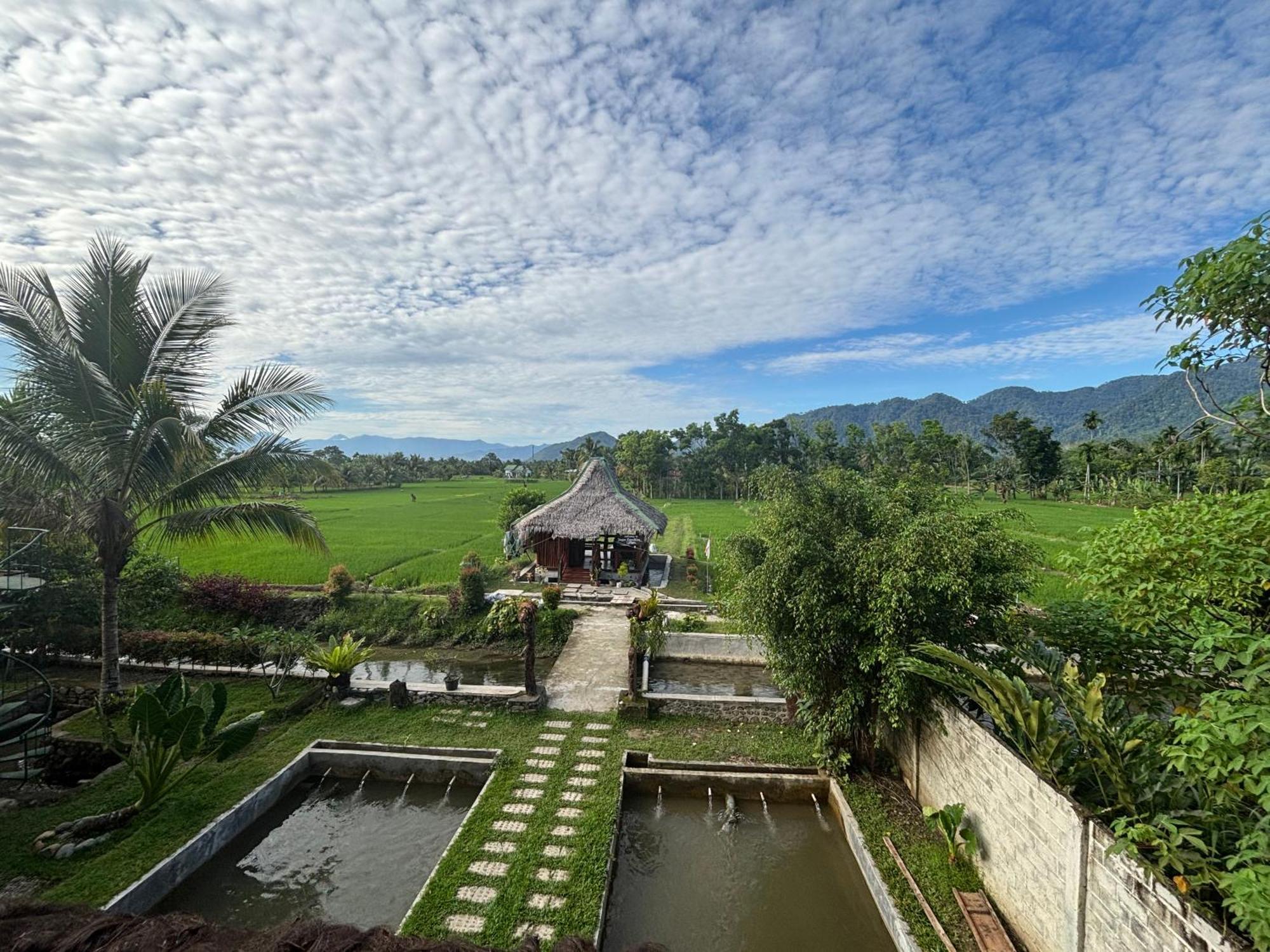 Sumatra Expedition Lodge Bukit Lawang Exterior photo